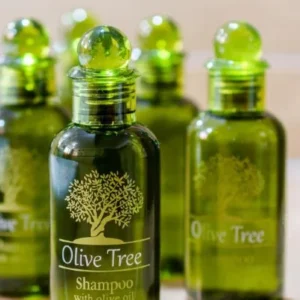 OLIVE TREE